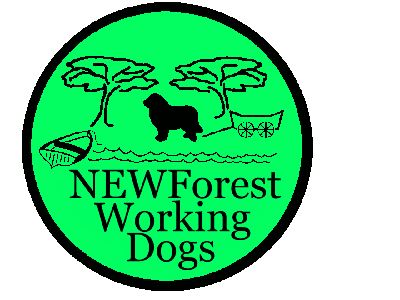 NEWForest Working Dogs